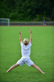 mk体育中国官网-高校运动训练计划动态调整机制研究，运动训练调控