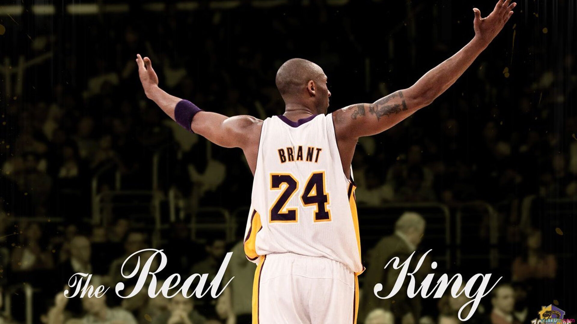 谁是下一个姚明球迷热议杨瀚森未来发展,姚明杨威杨阳洋