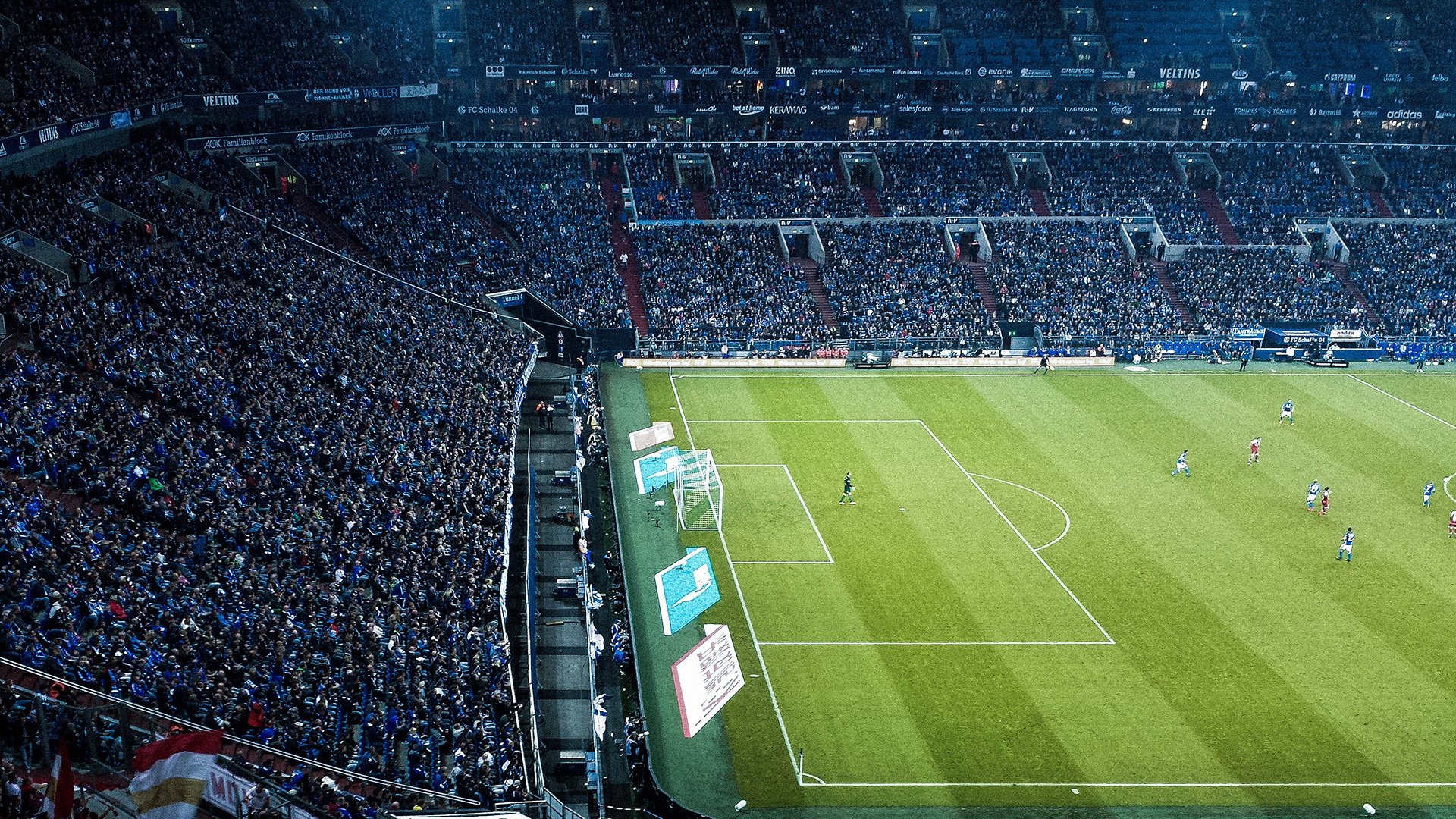 mk体育官网首页-“阿根廷美洲狮队为未来设定新目标，走向全球”