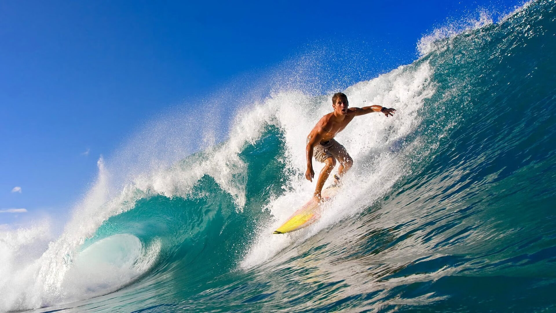 新闻中心发布国家体育信息安全防护项目采购清单,国家体育信息中心主任