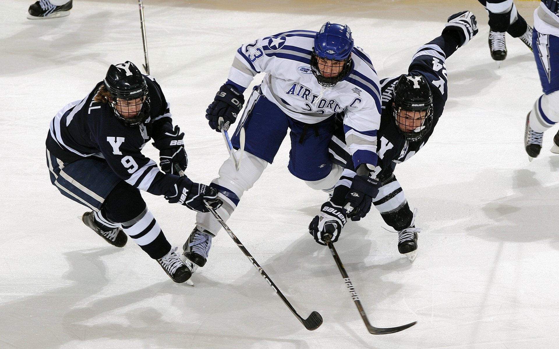 体育赛事投资回报分析